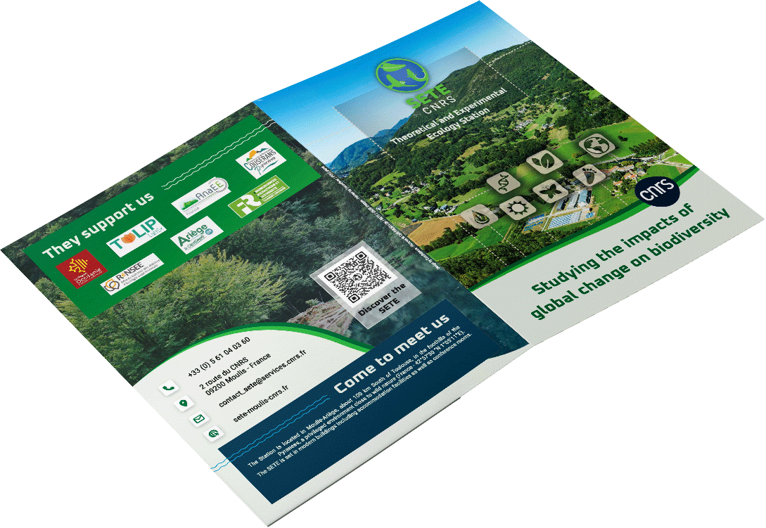 Mockup chemise SETE CNRS, graphisme