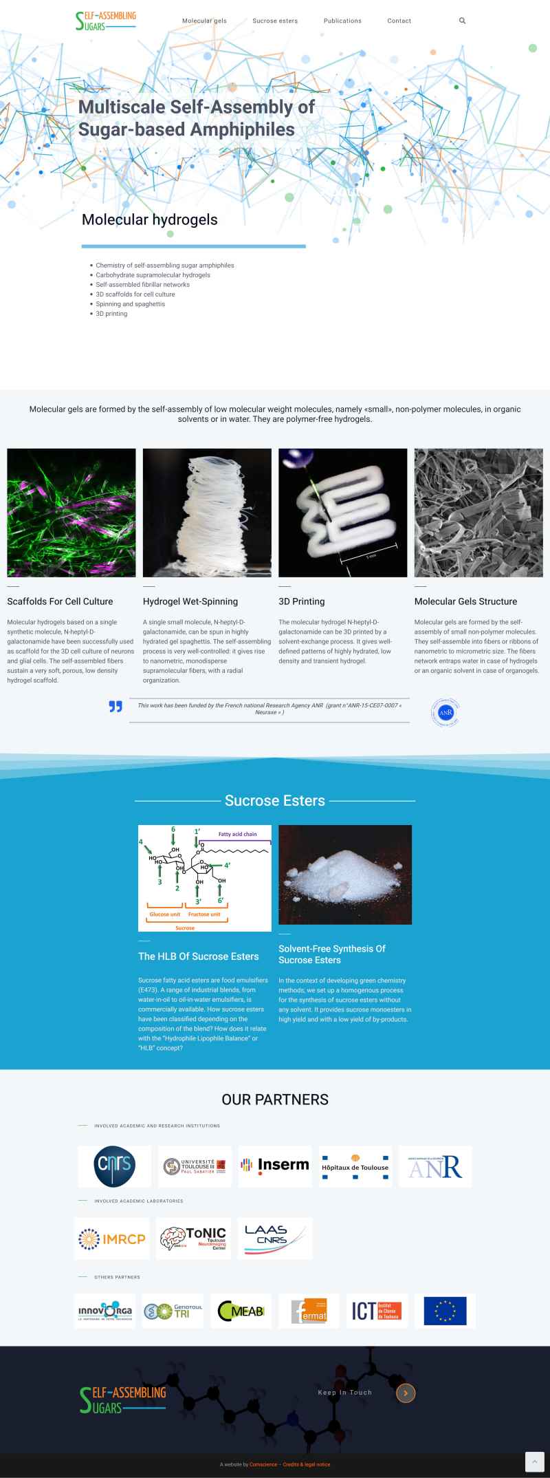 Self-assembling sugars, site de recherche en chimie - création site internet