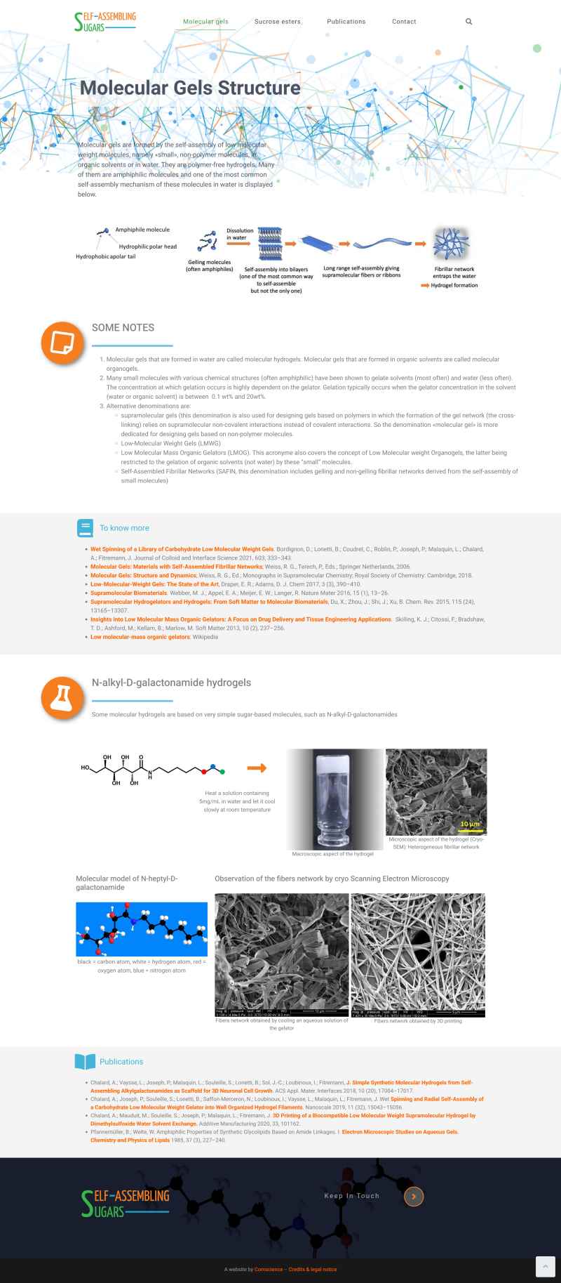 SAS, Self-assembling sugars, site de recherche en chimie - création site internet